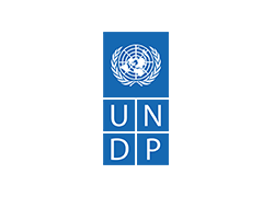 UNDP