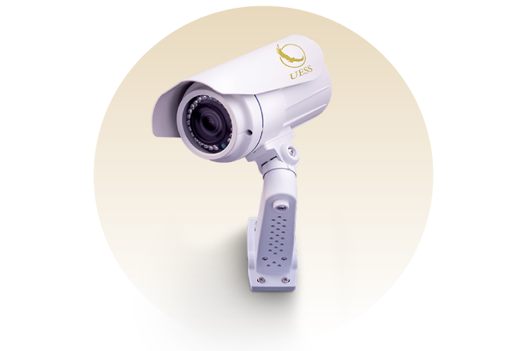 CCTV & IP Cameras